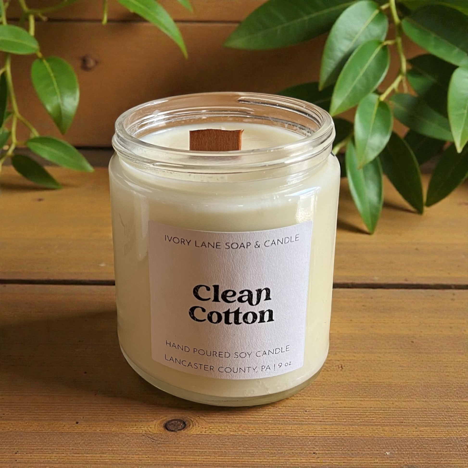 Candle labeled 'Clean Cotton' by Ivory Lane Soap & Candle on a wooden surface with green leaves in the background.